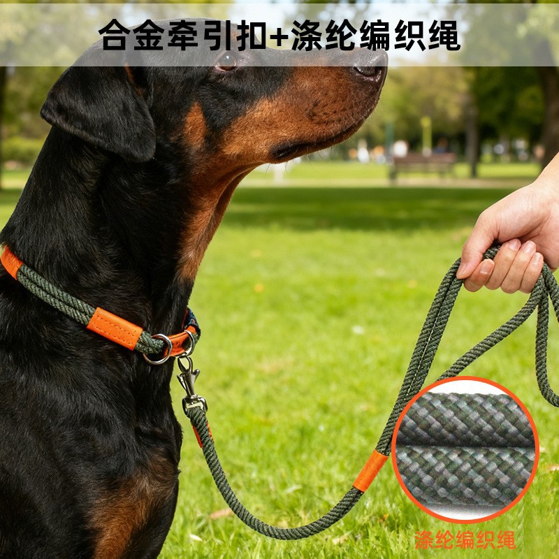Bulk Rope Dog Leash suppliers