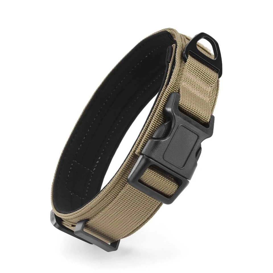 Dog Training Collar best