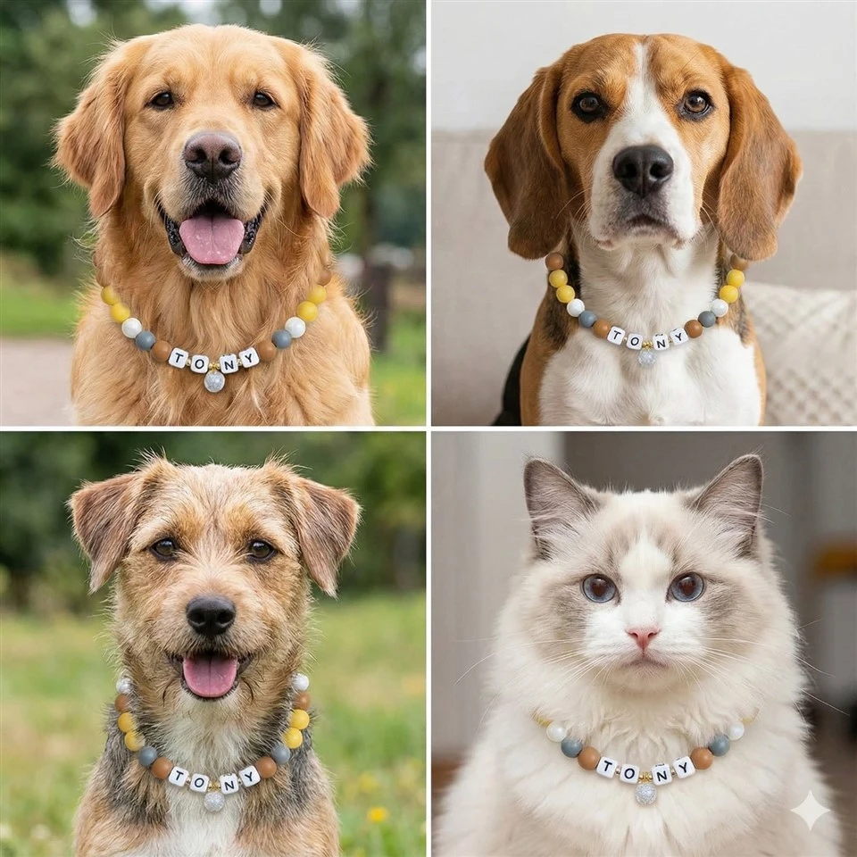 Personalized Silicone Bead Pet Collar high quality
