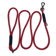 Ronimisköis koerarihm